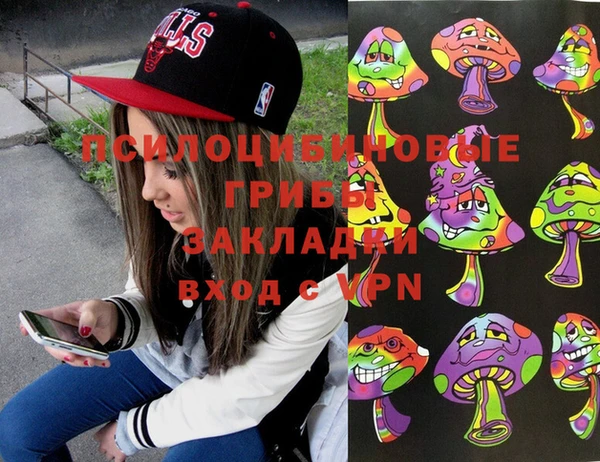 прущие грибы Абаза