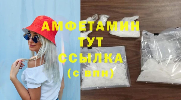 прущие грибы Абаза