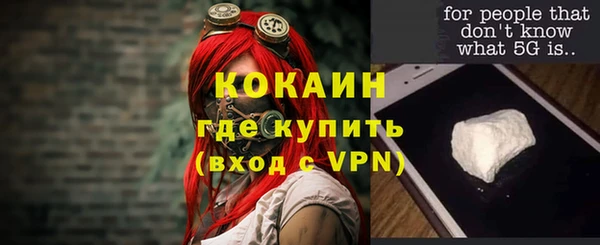 прущие грибы Абаза