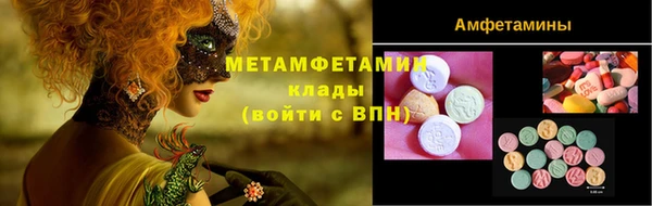прущие грибы Абаза