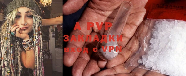 прущие грибы Абаза
